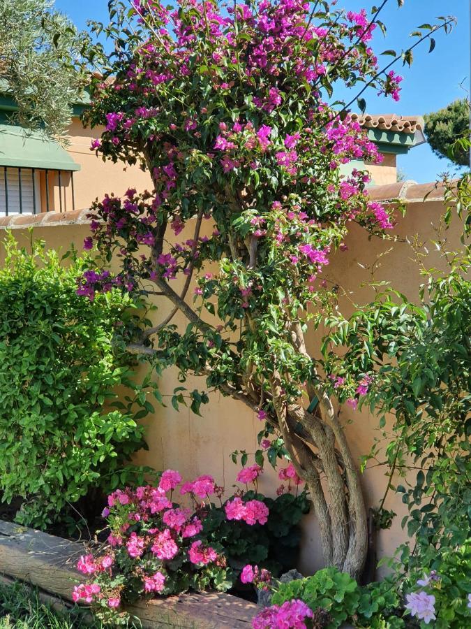 Villa Ostrero Chiclana de la Frontera Luaran gambar